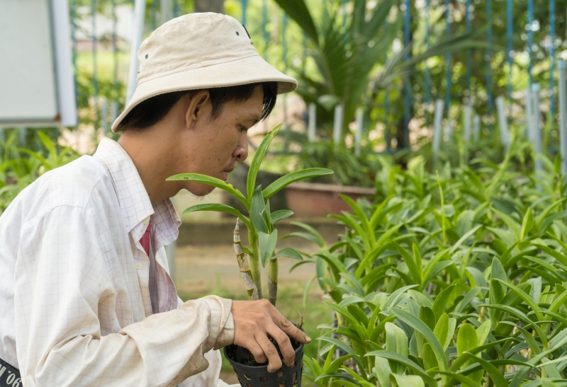 Dự án đào tạo nông nghiệp cho người khuyết tật do chất độc da cam, tại TP.HCM tập trung vào phương pháp, kỹ thuật trồng trọt, canh tác để từ đó có thể tự thân, lập nghiệp.