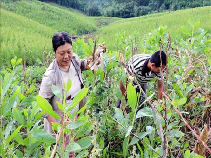 xoa-doi-ben-vung