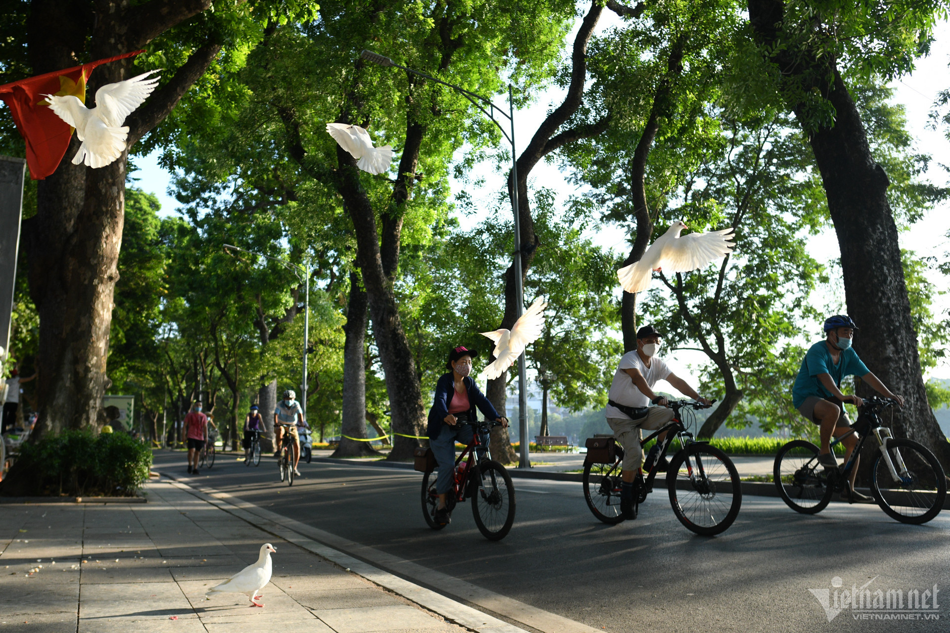 ha noi 20 1 1833.jpeg