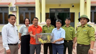 Ảnh bàn giao cá thể tê tê