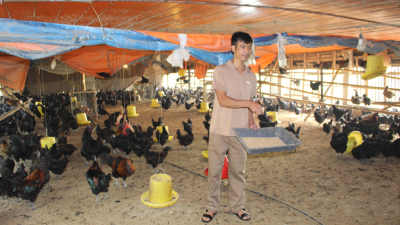 Ảnh chụp màn hình 2025-11-06 150745