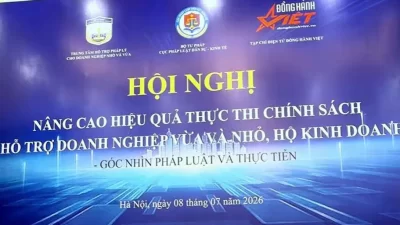 donghanhviet
